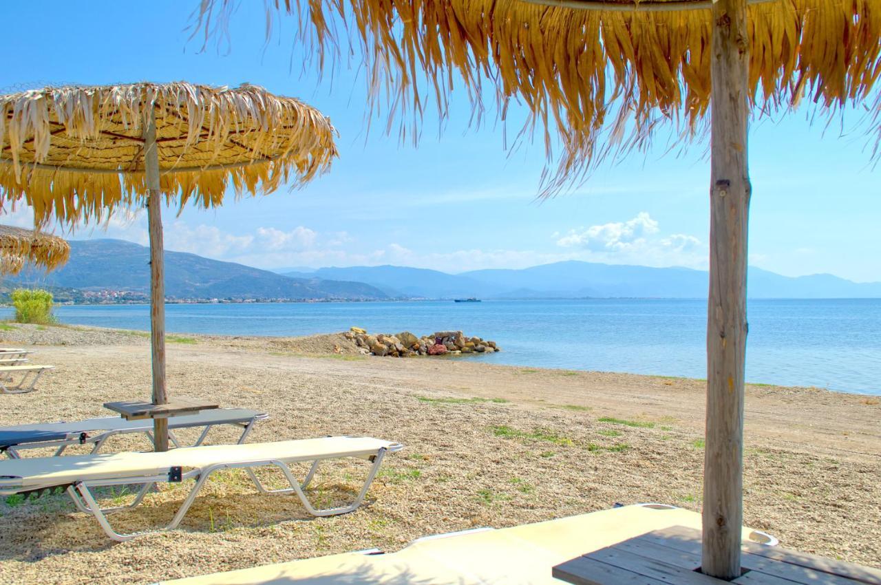 Epipleon Luxury Suites -105- Δωμάτιο 35Τμ Με Βεράντα 35Τμ Μπροστά Στη Θάλασσα Nafpaktos Ngoại thất bức ảnh